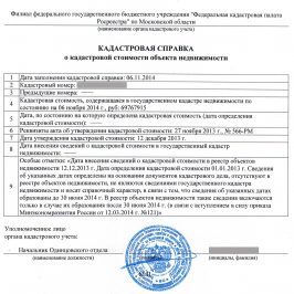 Кадастровая справка: запрашиваемые данные о недвижимости